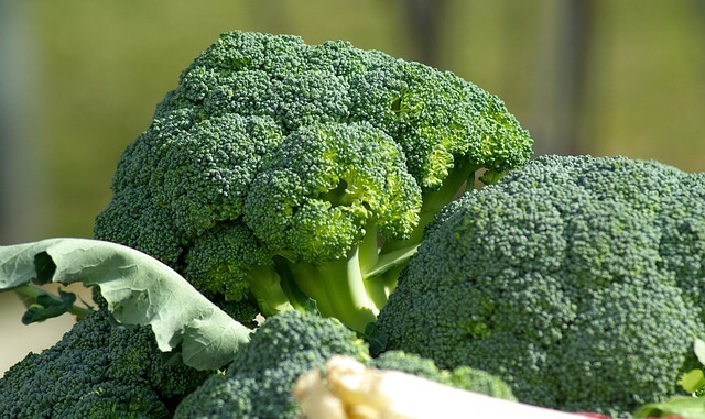 세계 금연의 날&amp;#44; 폐 건강을 지키는 첫걸음 무료 금연 클리닉!