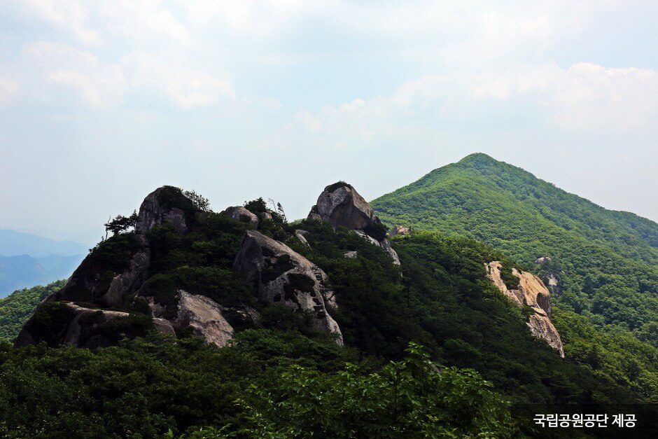 해돋이명소