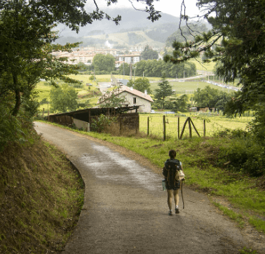 1년차 연차 개수 계산기 연차수당