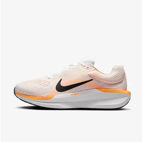 나이키 윈플로 10, 11