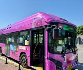 핑크 해치 버스