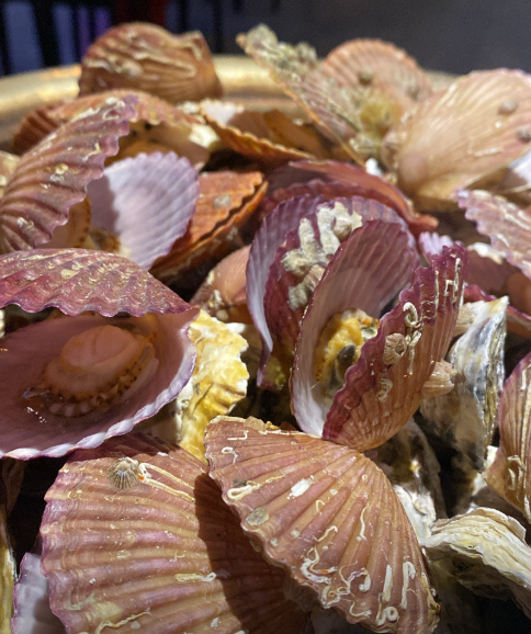 바다언니야 대표메뉴