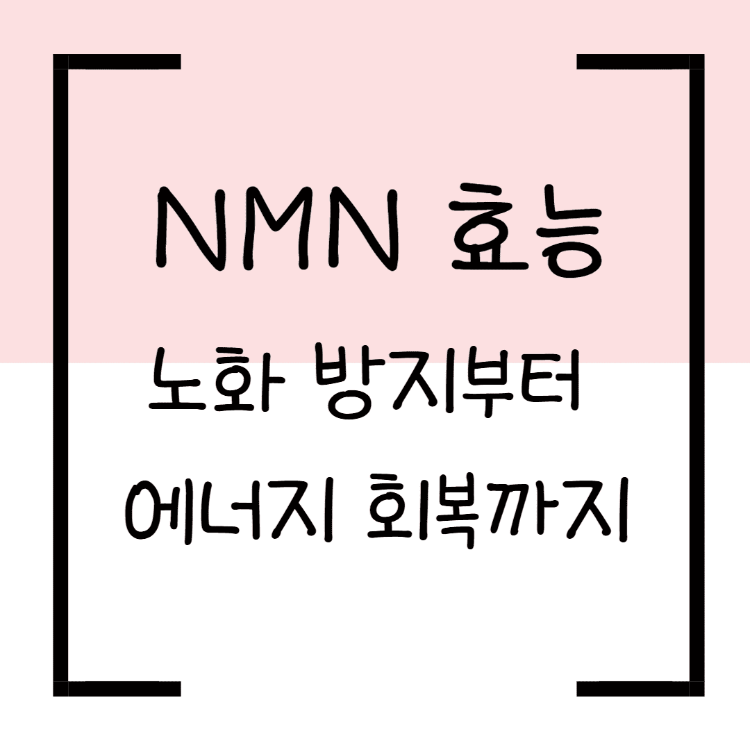 NMN 효능 총정리