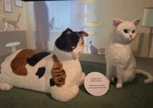 '요물' 우리를 홀린 고양이 전시회