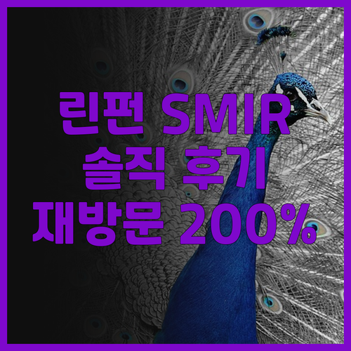 린펀 SMIR 호텔 생생 후기! 재방..