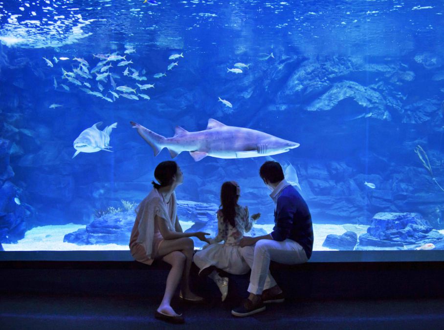 아쿠아플라넷 일산