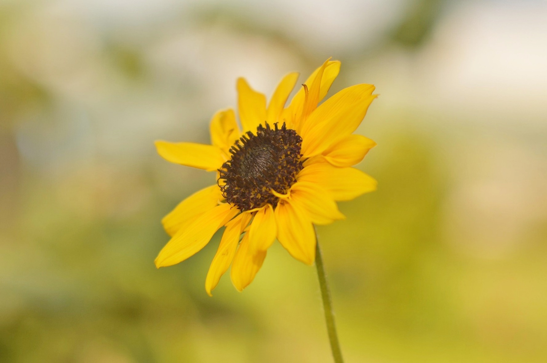 약보다 먼저 시작하세요! 식후 10분 걷기가 혈당을 낮추는 이유!