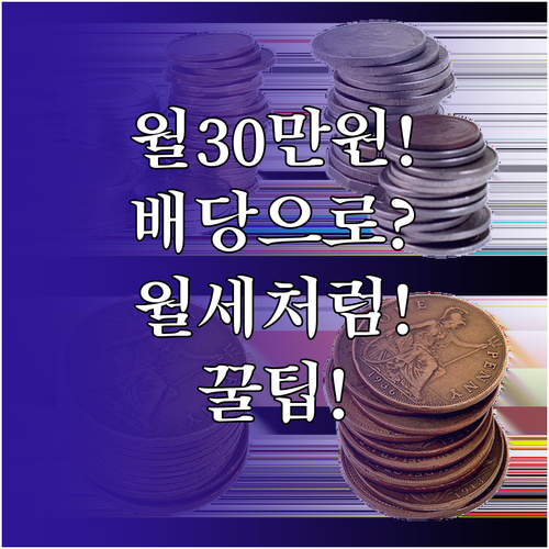 월 30만원 배당 수익을 위한 실전 ..