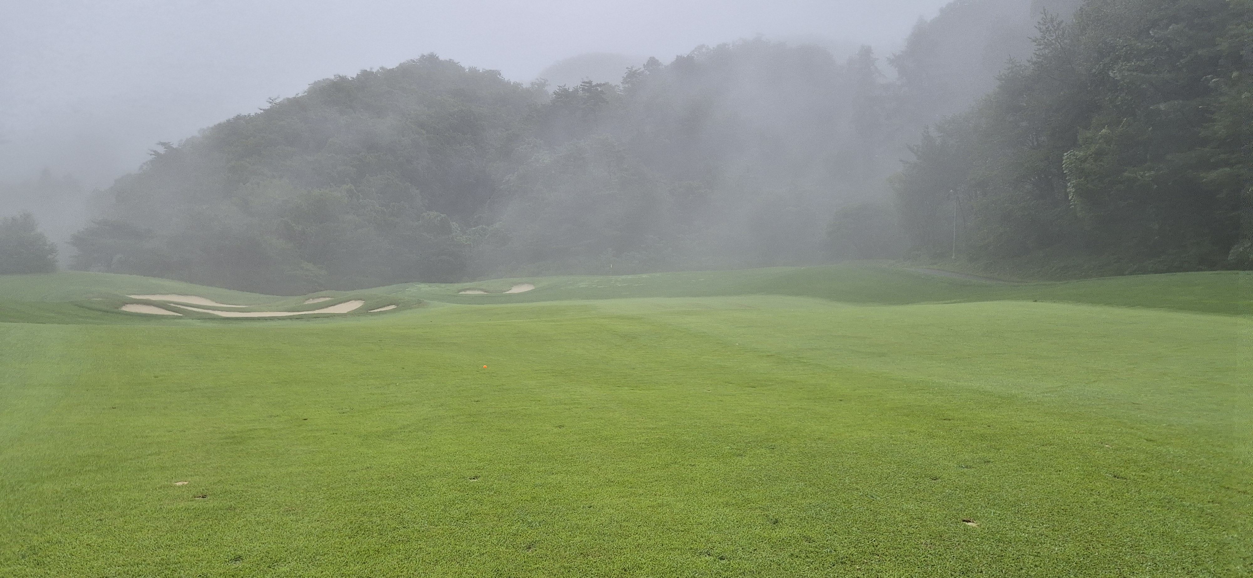 더플레이어스cc