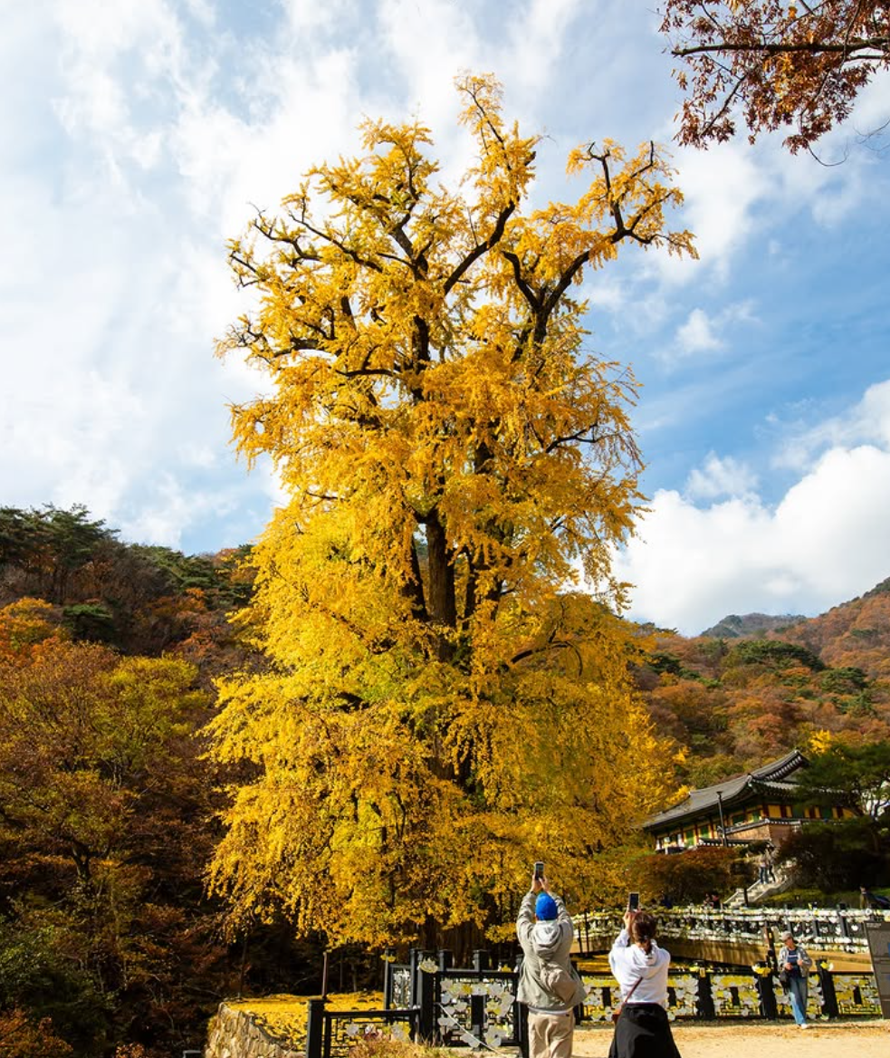 양평 가볼만한곳 베스트10