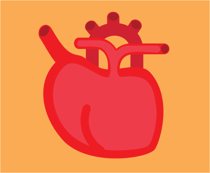 심장이미지