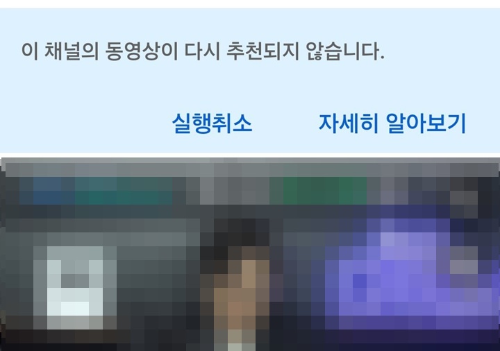 화면에 이 채널 영상 다시 추천하지 않는다는 공지 보임
