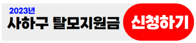 사하구탈모지원금신청하기