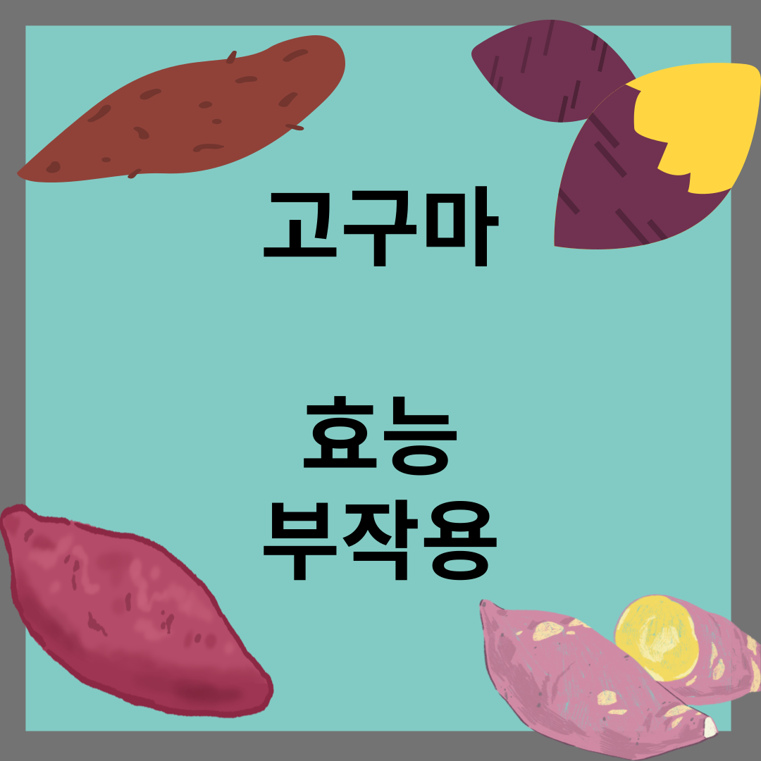 고구마 효능 부작용