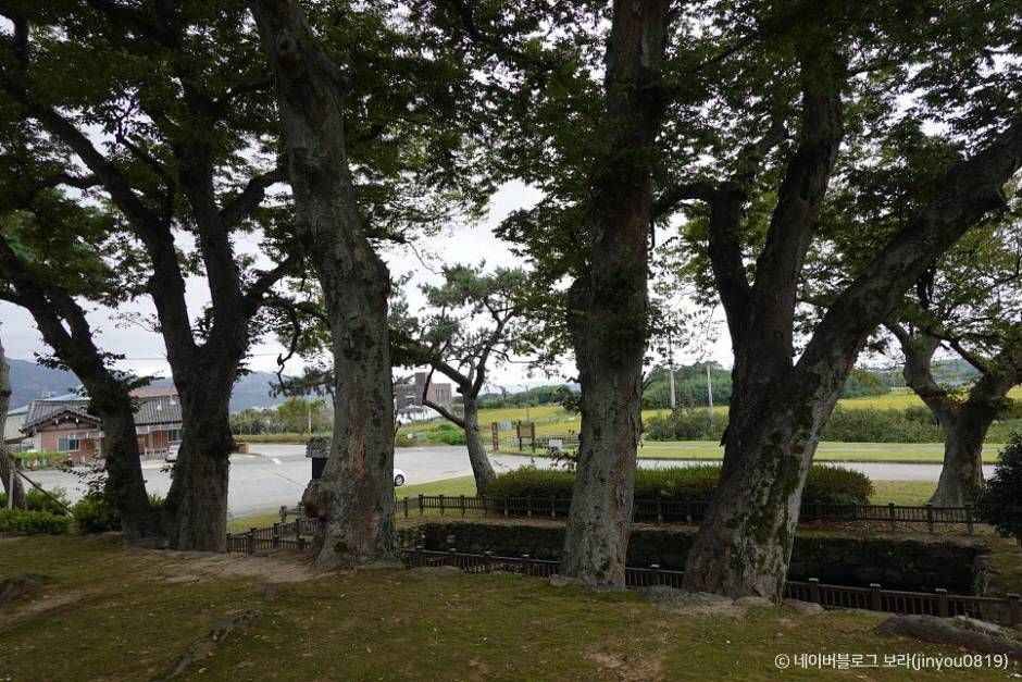 영암 가볼만한곳 베스트10