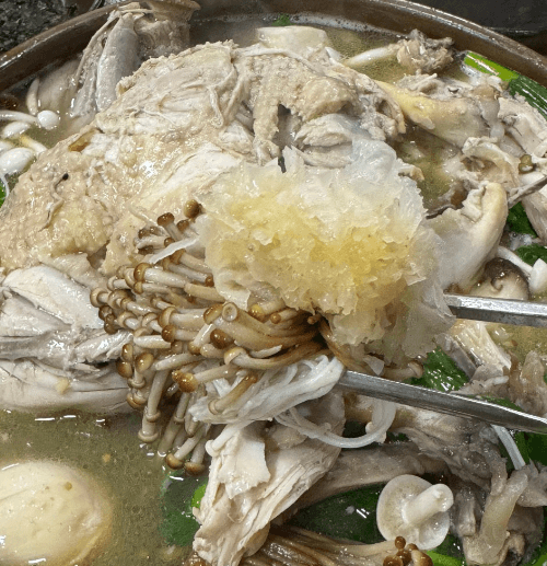 생방송오늘저녁 묵은지닭볶음탕 토종닭백숙 광주 맛집