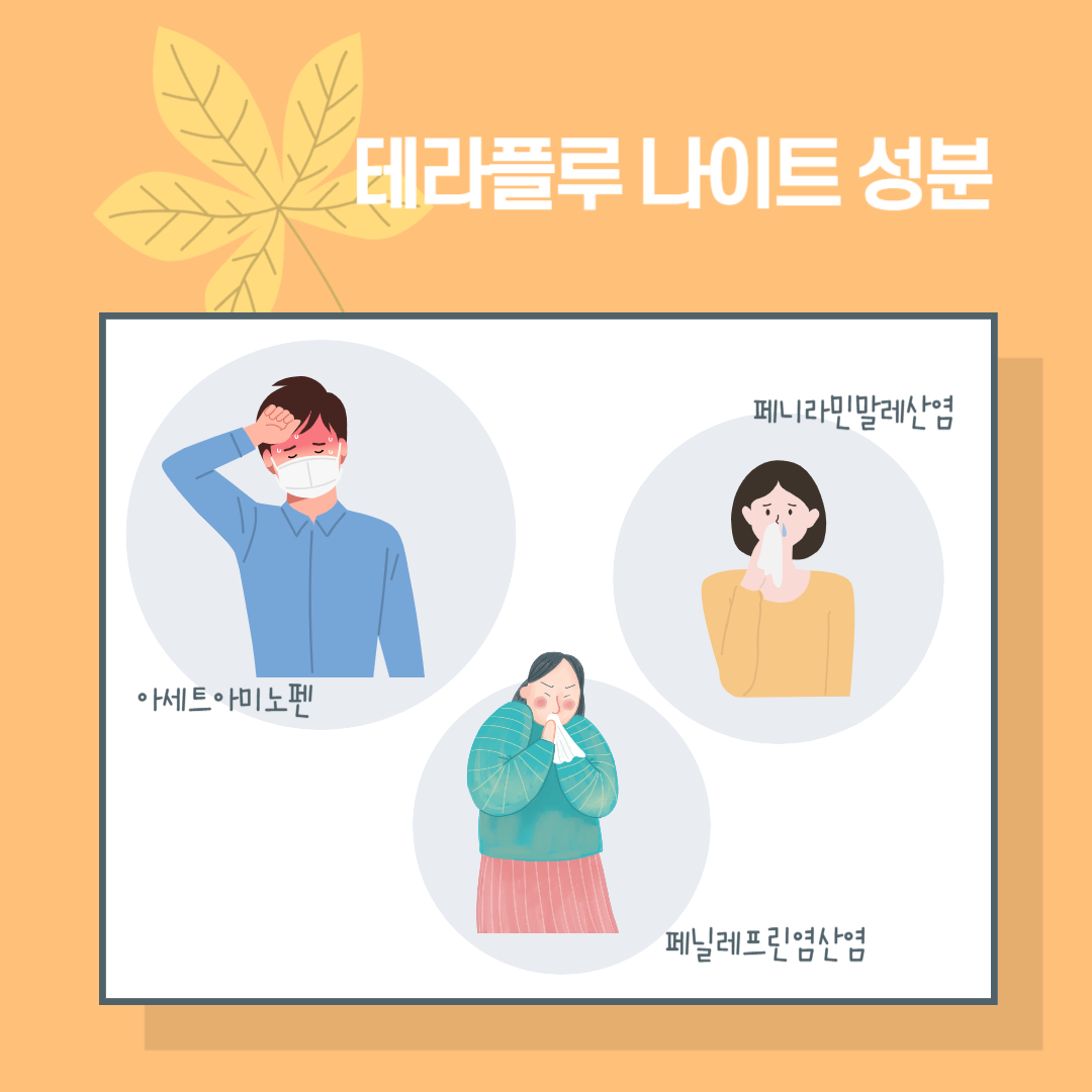 테라플루 나이트