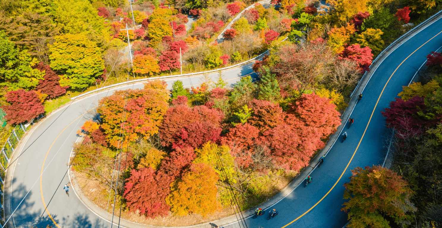 단양 가볼만한곳