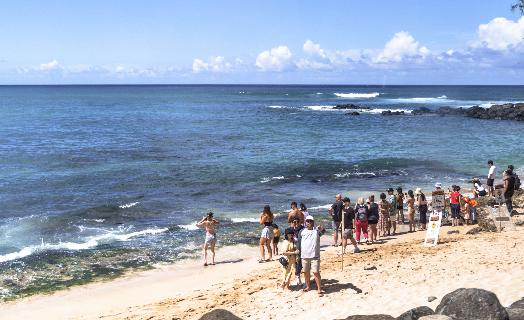 하와이 노스쇼어 라니아케아