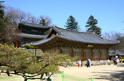 마곡사