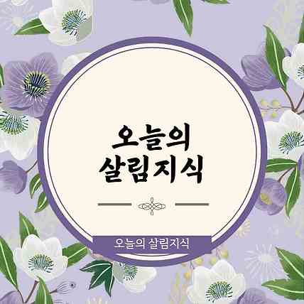 콜대원 챔프 공복복용 주의사항 오류해결