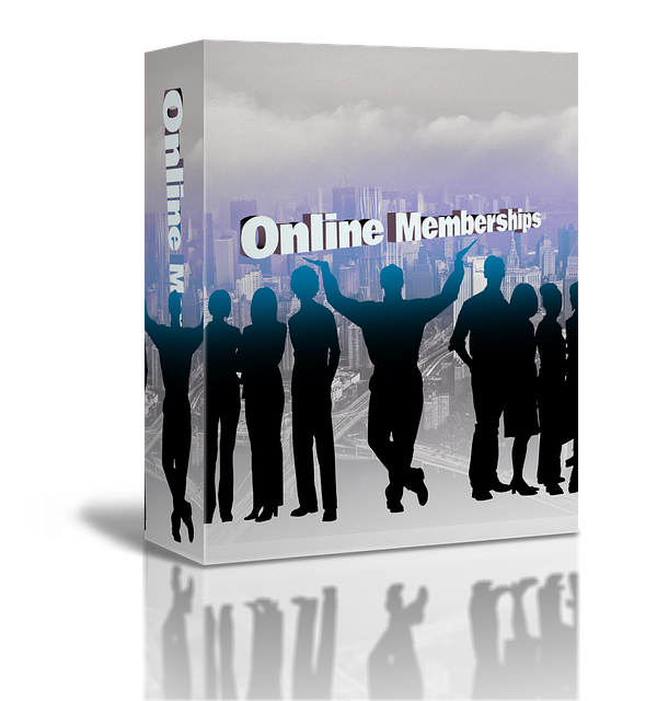 도시 배경 위에 실루엣 형태의 여러 사람들과 함께 'Online Memberships'라는 문구가 적힌 상자 모양의 디지털 상품 이미지
줌바 강사용 회원관리 시스텝