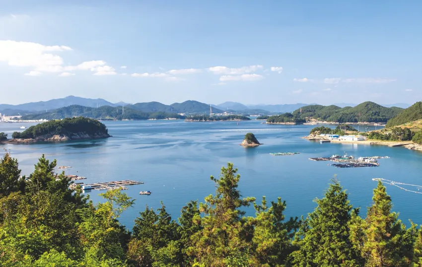 한산도 배시간표 배편 요금 예약 _7