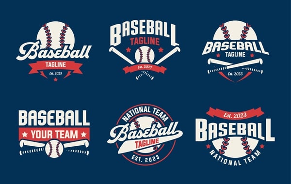 와일드카드 예매