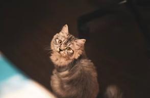 은퇴 후 창업아이템 알아보기