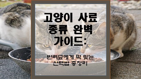 고양이-사료-종류-완벽-가이드
