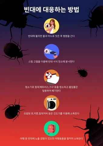 곤충 퇴치법 완벽 가이드 집안 벌레, 모기, 러브버그 5분 해결법_32