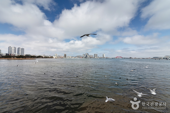 속초 가볼만한곳 베스트10