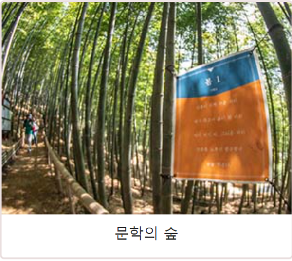 거제 맹종죽테마공원