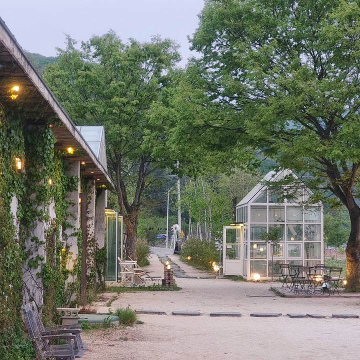 가평 청평 맛집 추천 생방송투데이 부채살 스테이크 화덕 통삼겹 바베큐 BBQ 화덕 피자 깔조네 파스타 브런치 오늘방송 떴다 동네방네