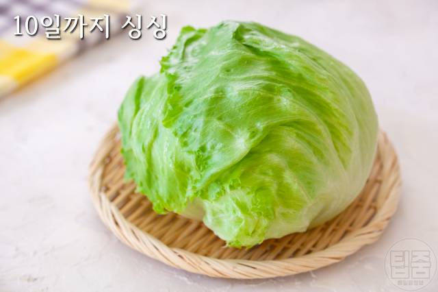 양상추 보관법,양상추 분홍색 변색,양상추샐러드