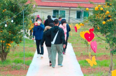 고흥 유자축제 행사 사진