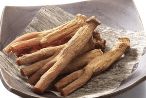 홍삼효능10