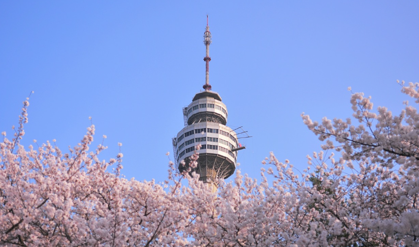 남산 사진