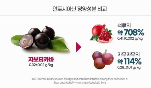 최화정 거북이주스