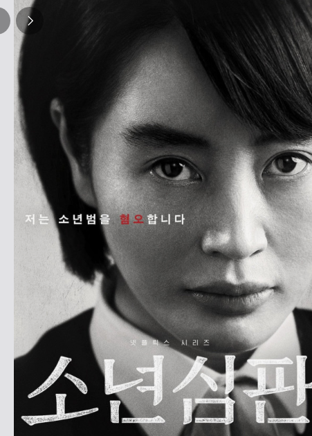 드라마 리뷰 : <소년심판>