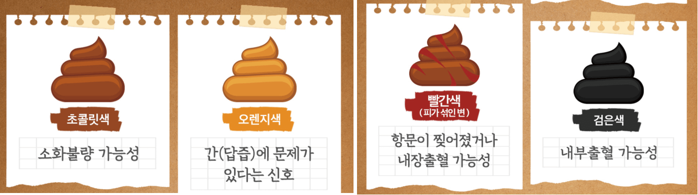 강아지-대변-색상-건강-정보표2