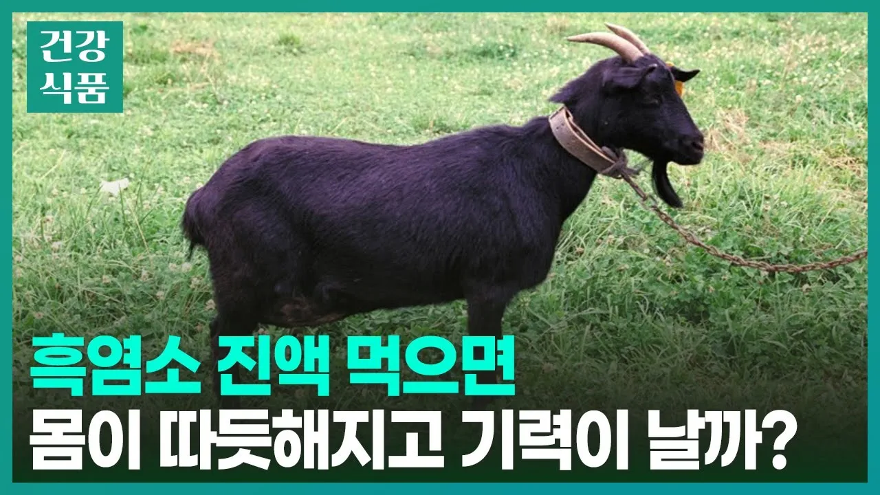 흑염소진액 선물 원액 농축도 내장포장 냄새 줄이는 데운음용 요령_8