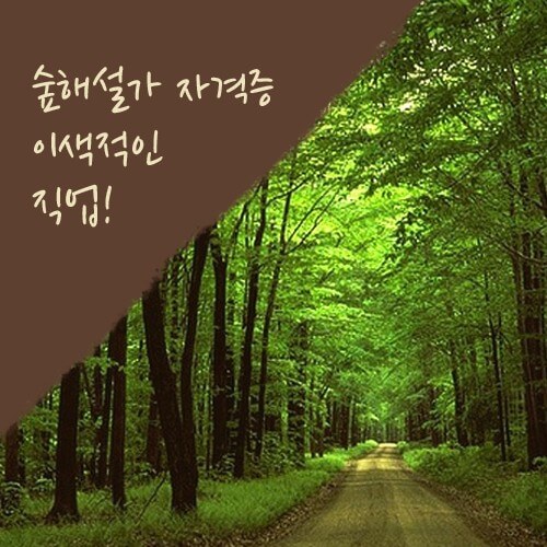 숲해설가 직업