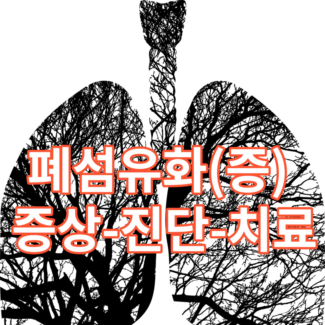 폐섬유화(증)&nbsp; 증상-진단-치료