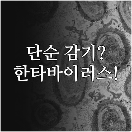 감기 몸살과 다른 한타바이러스 증상 ..