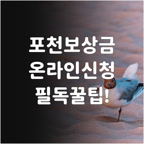 포천 군소음 보상금 온라인 신청 방법..