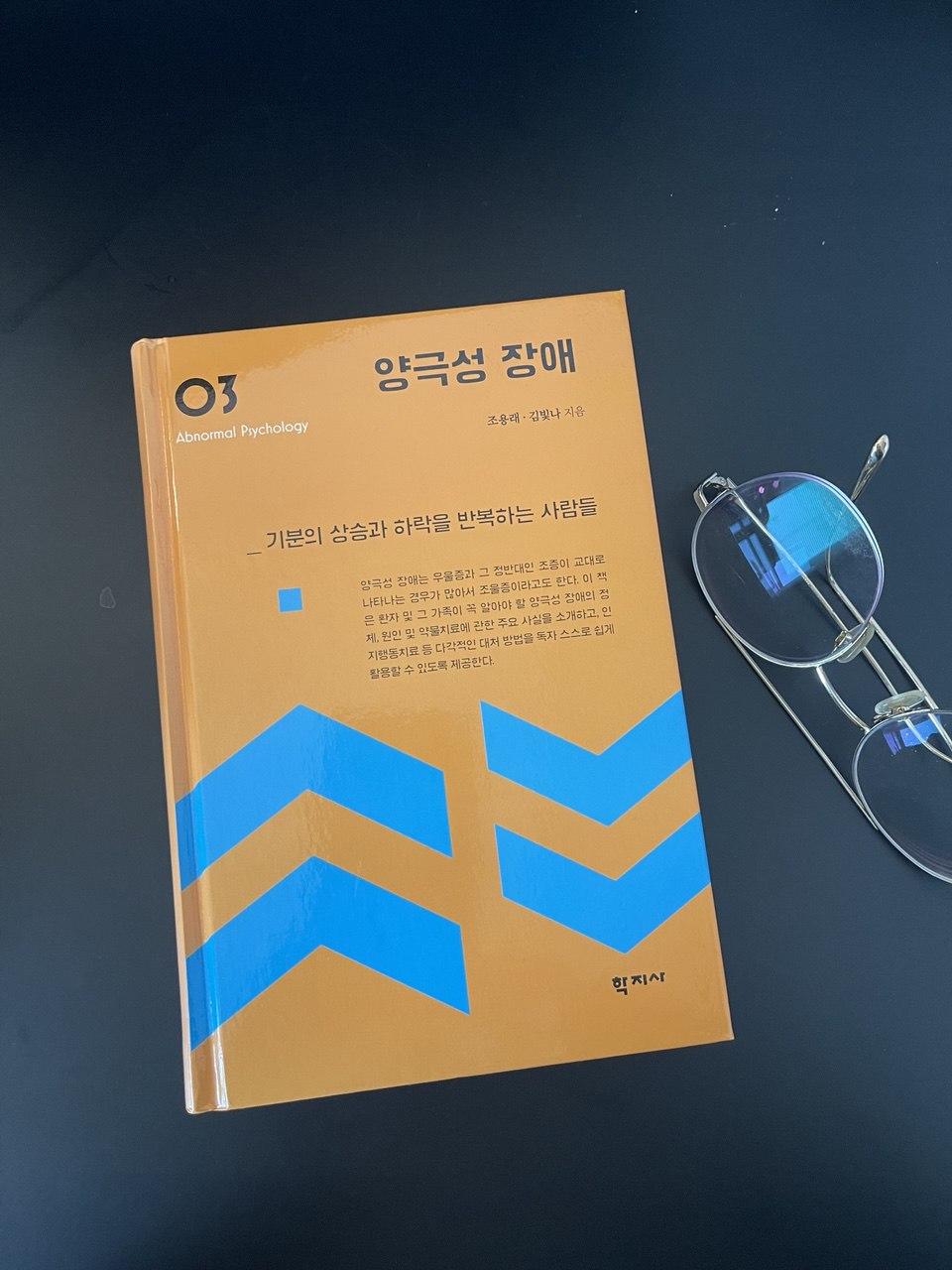 양극성 장애-조울증-양극성정동장애