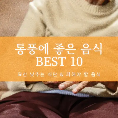 통풍에 좋은 음식 BEST 10