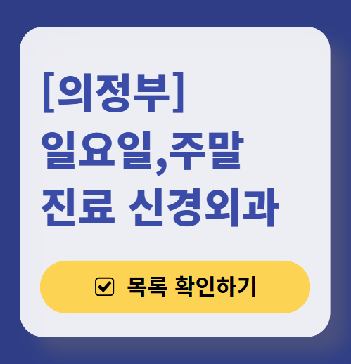 의정부 주말 진료 신경외과 목록 ❘ 토요일·일요일·공휴일 진료 병원 (어지럼증, 두통, 손발저림, 디스크)