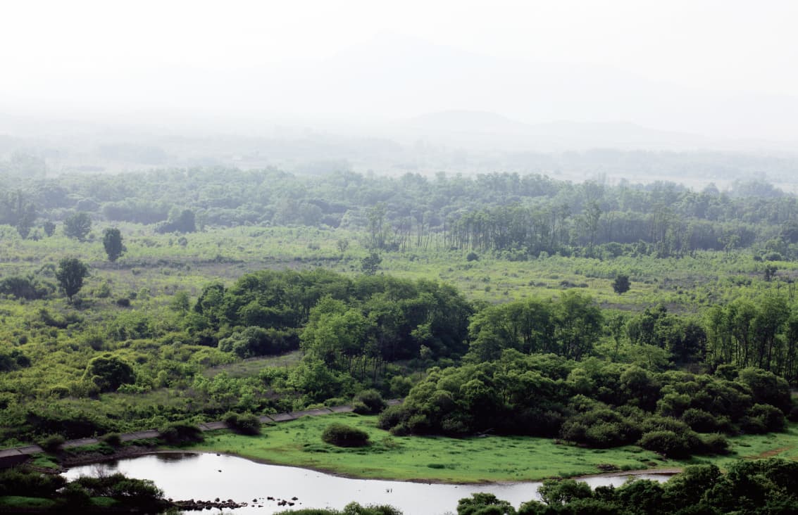 자연 속 걷기가 우울증 완화에 미치는 영향